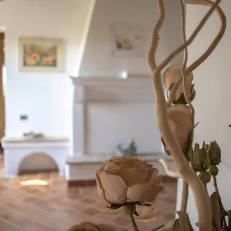 Del Monte, Peace & Relax In Uncontaminated Nature Vila